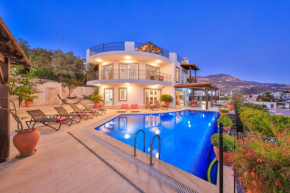 Villa Turquoise
